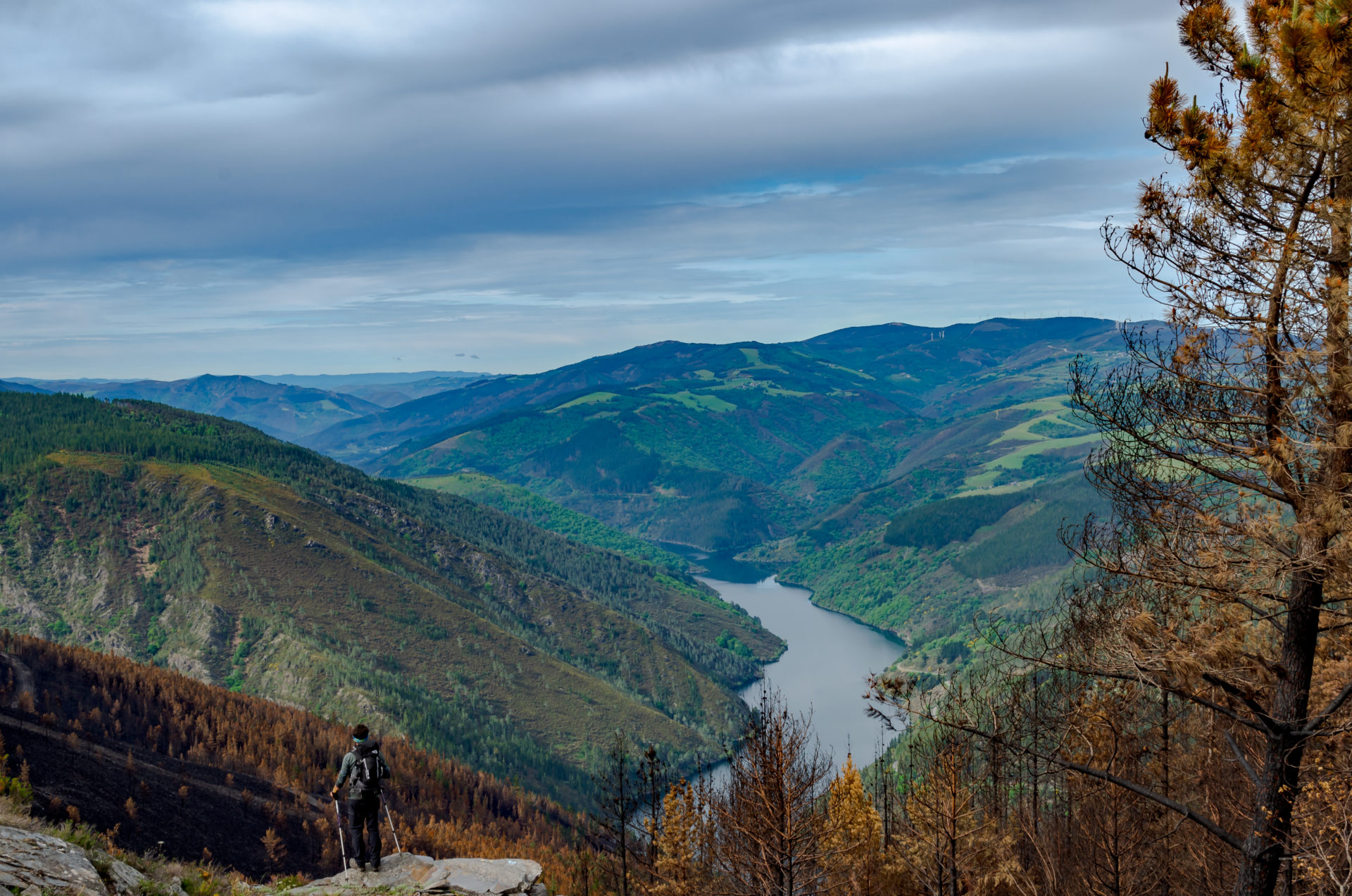 Camino Primitivo