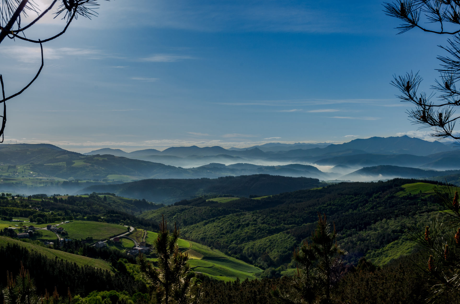 Camino Primitivo2