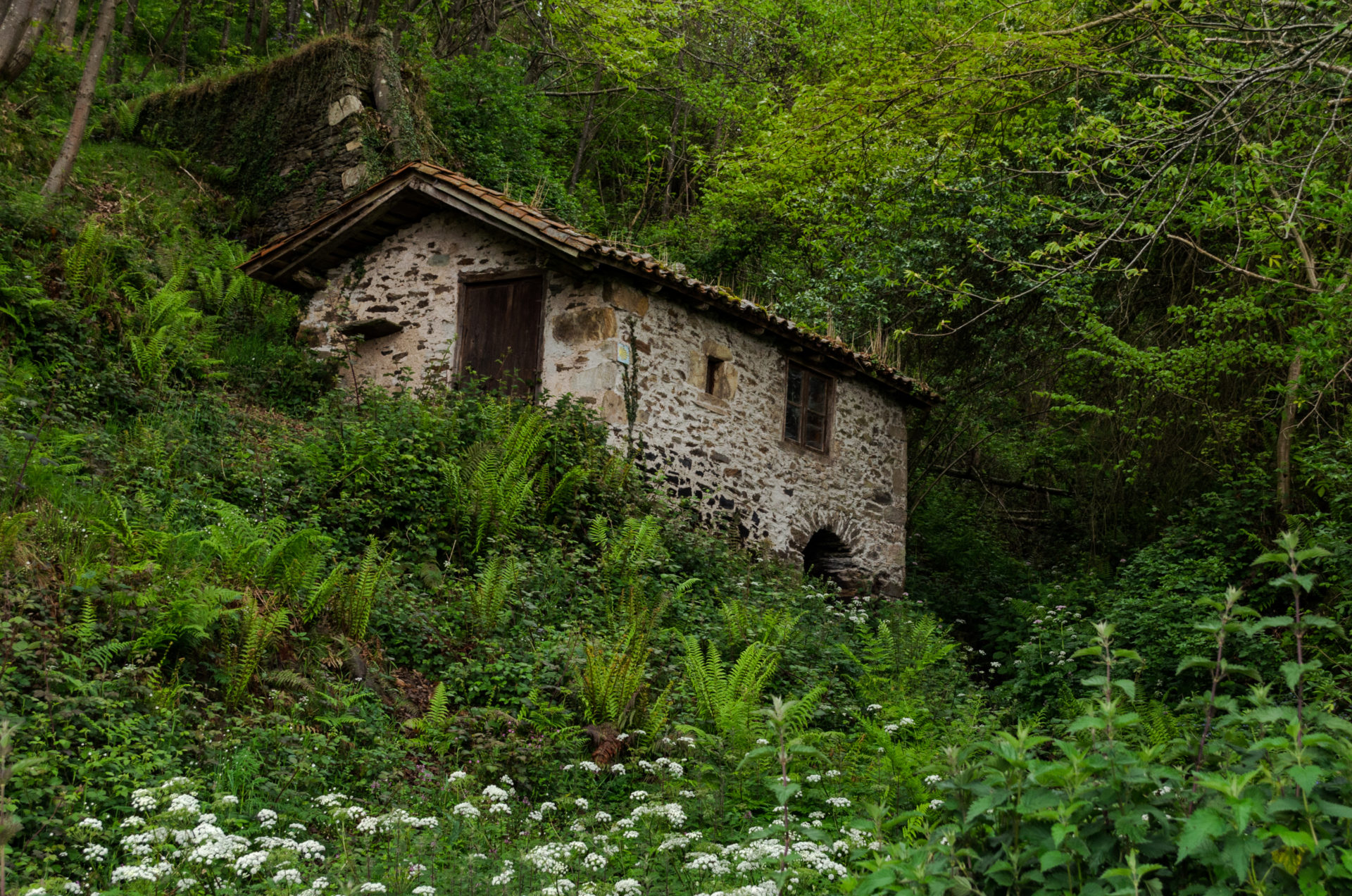 Molino de agua