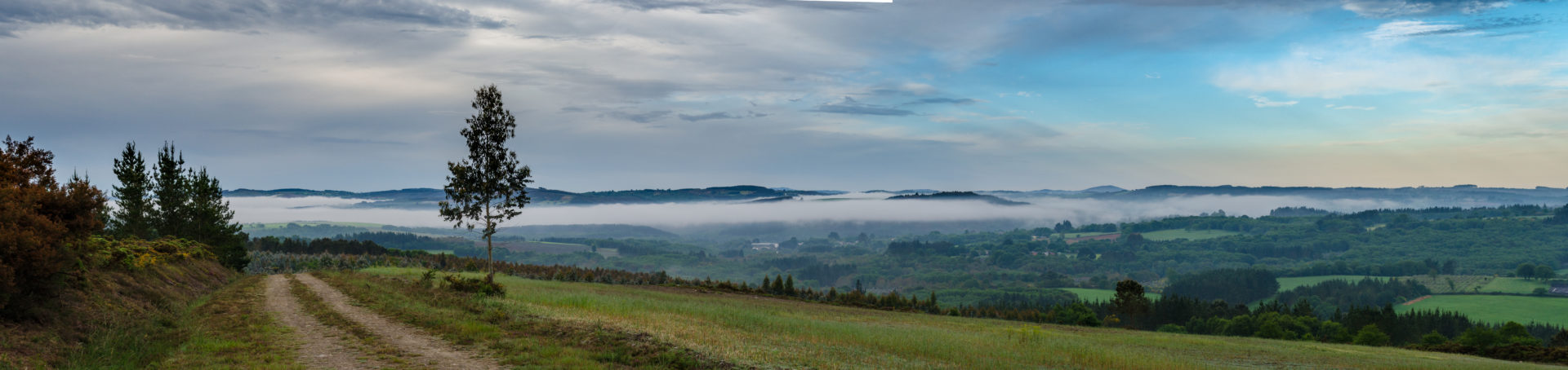 Panoramica