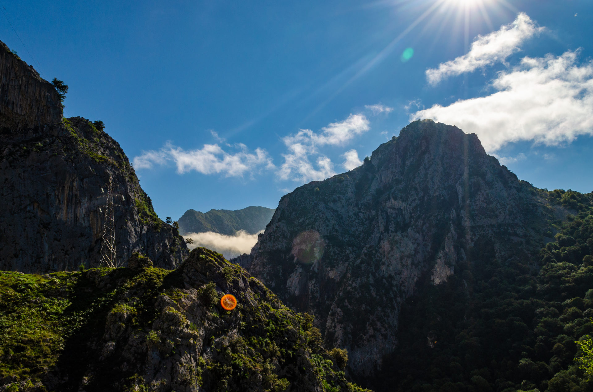 Picos de Europa