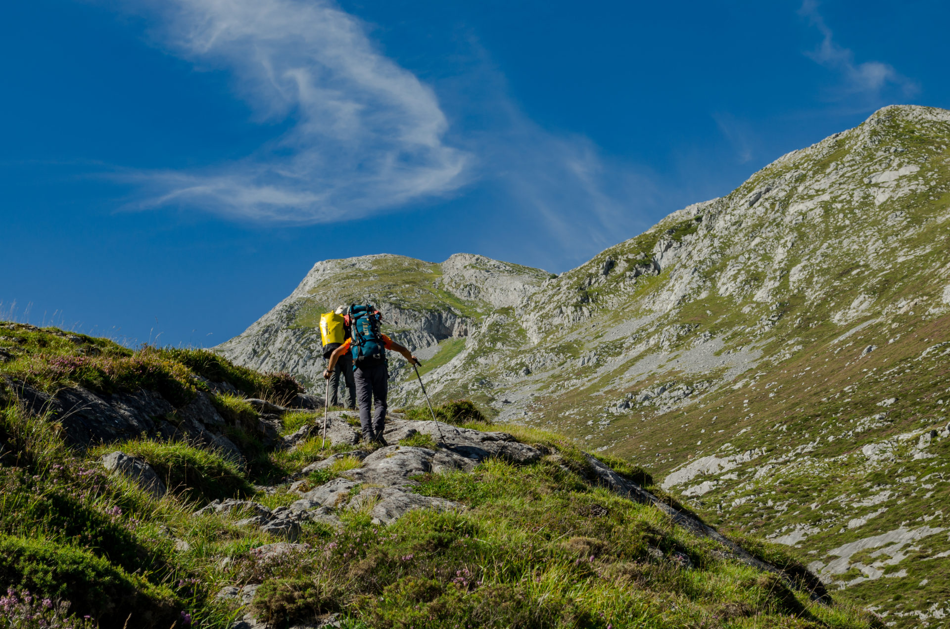 Picos de Europa