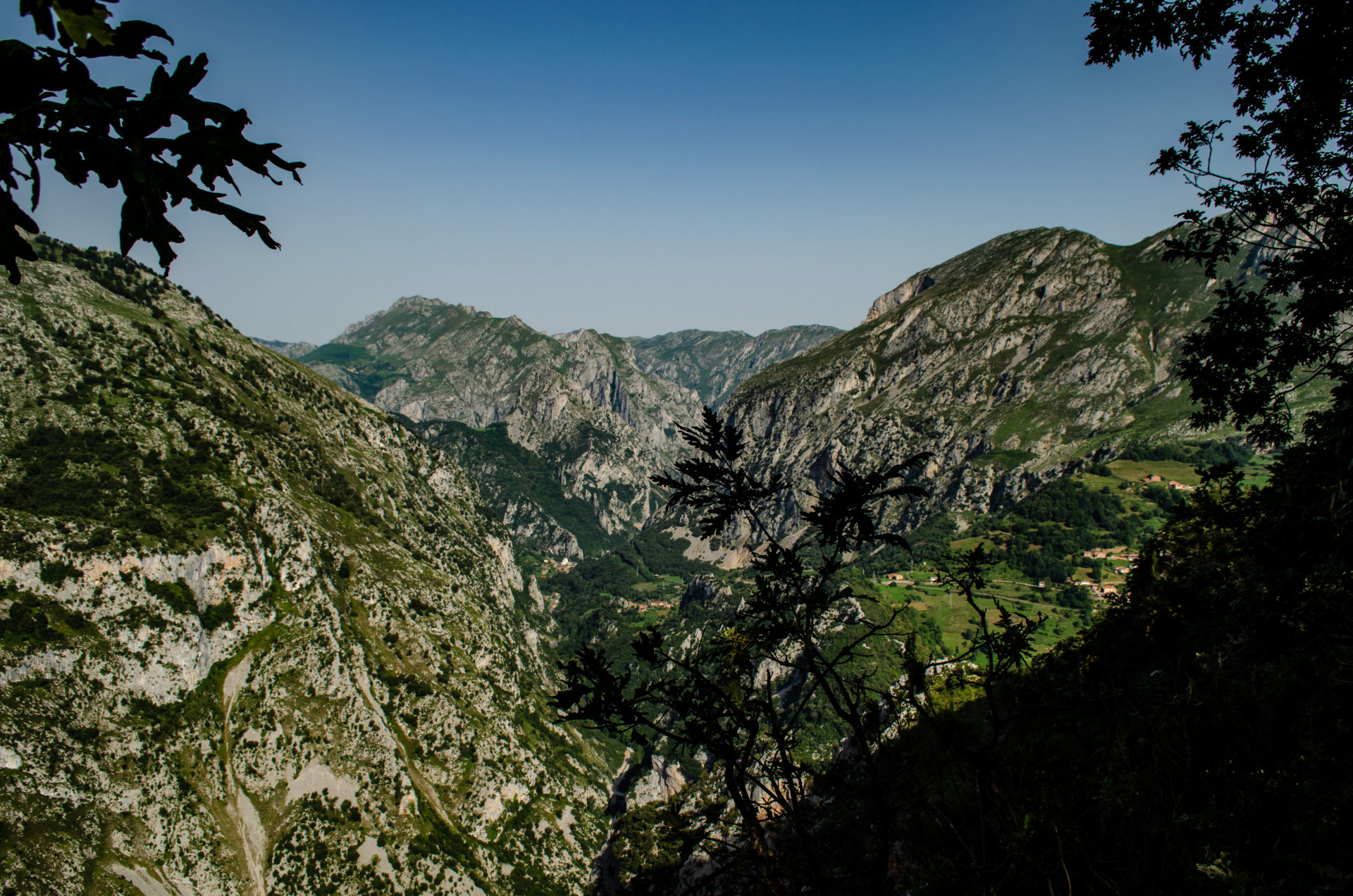 Picos de Europa1