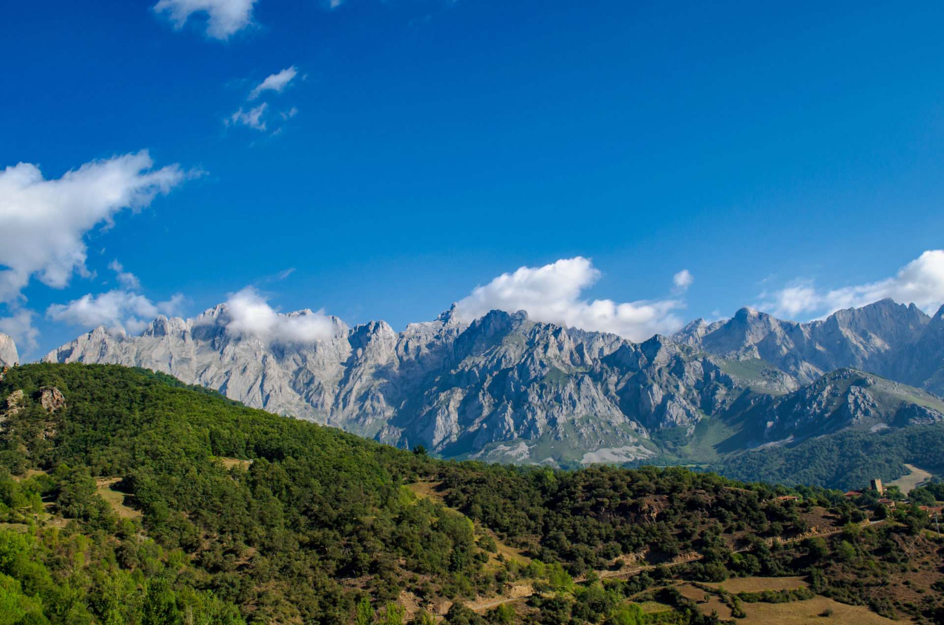 Picos de Europa10