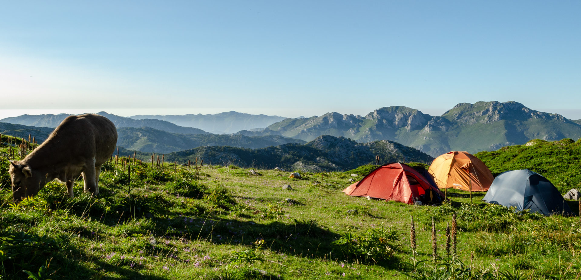 Picos de Europa3