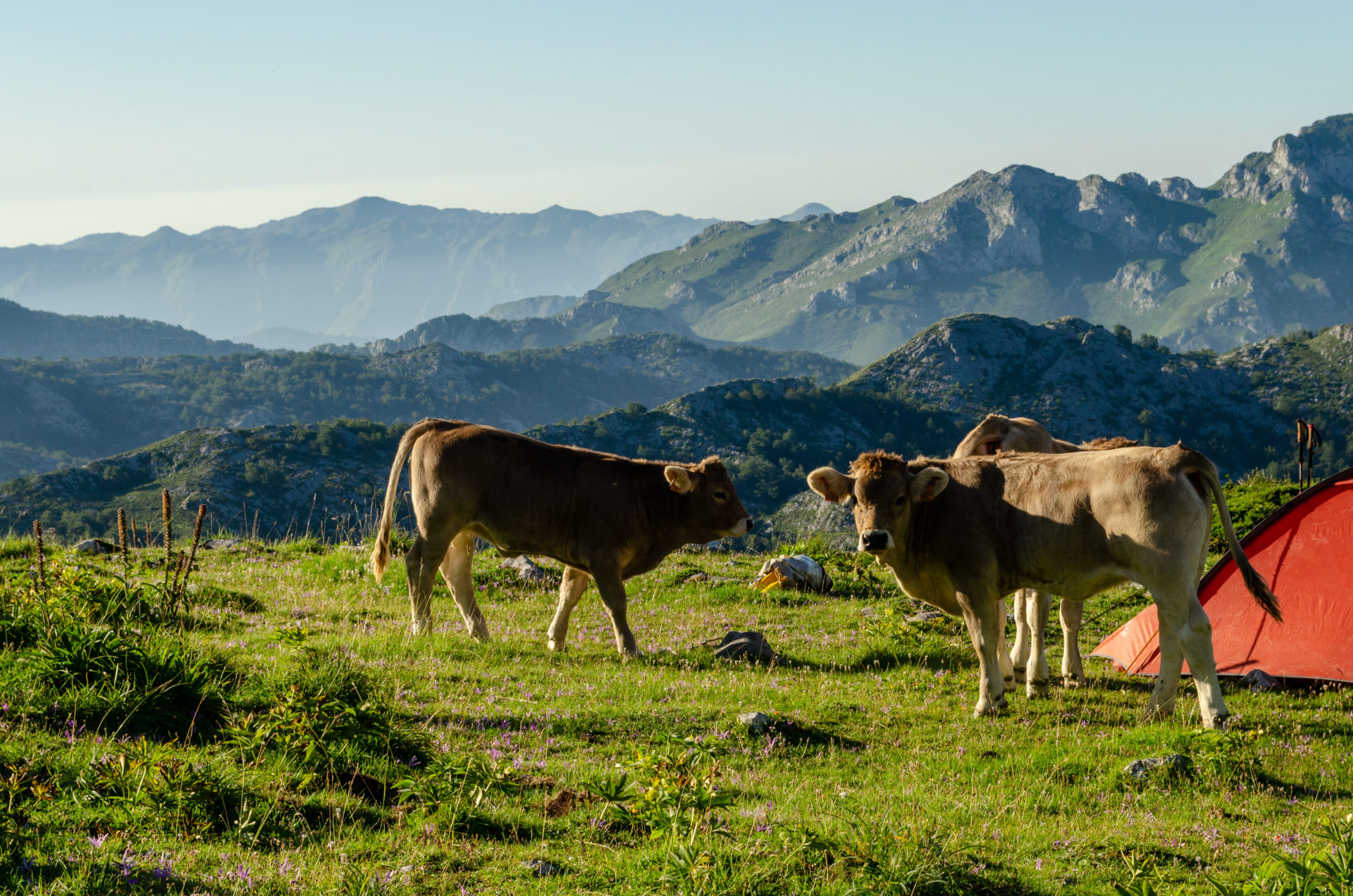 Picos de Europa4