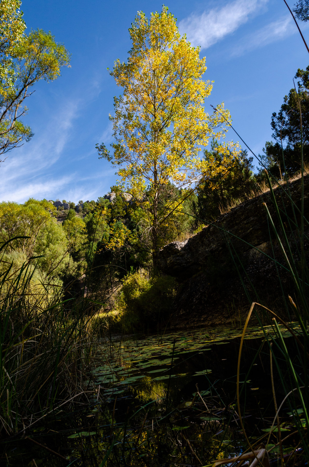 Rio Lobos