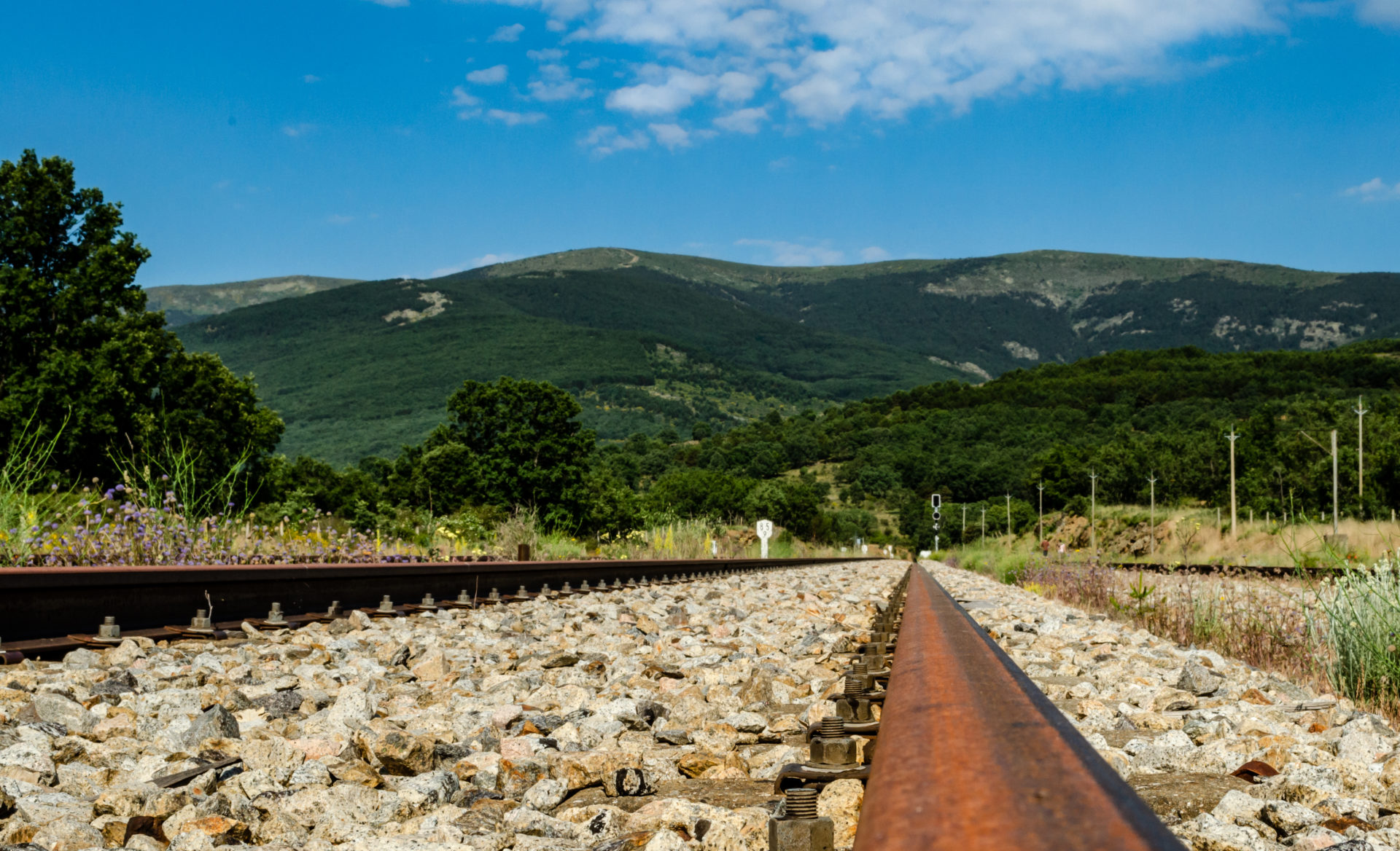 Via del tren