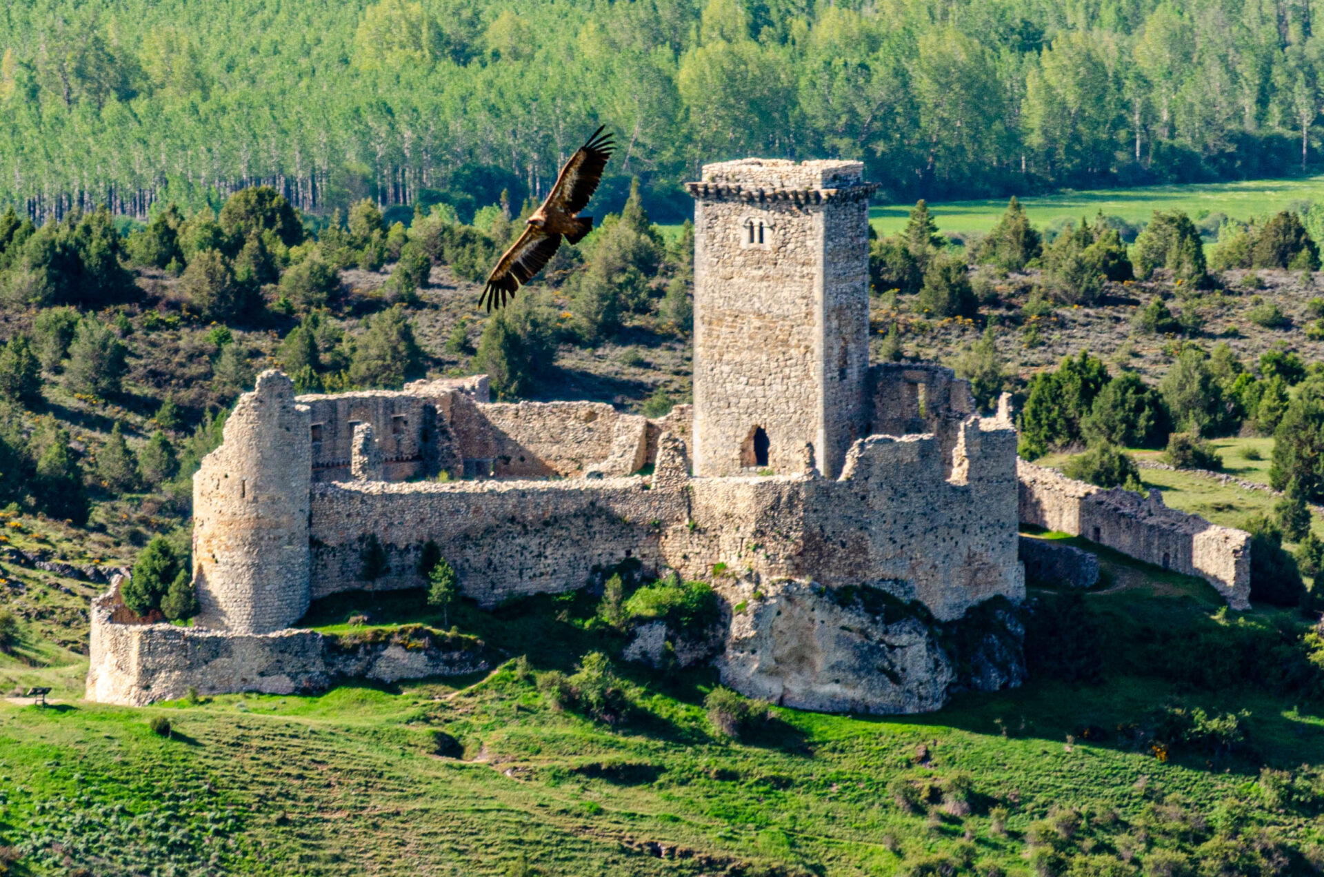 Castillo de Ucero2